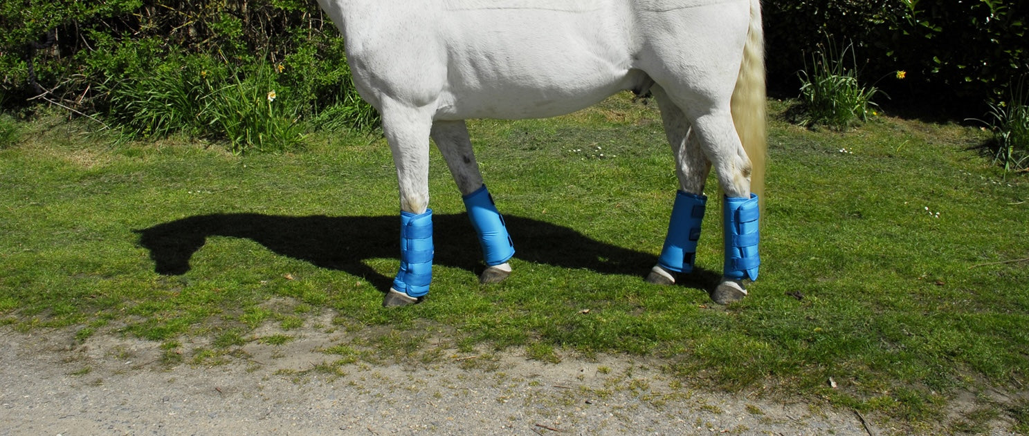 Horse Boots