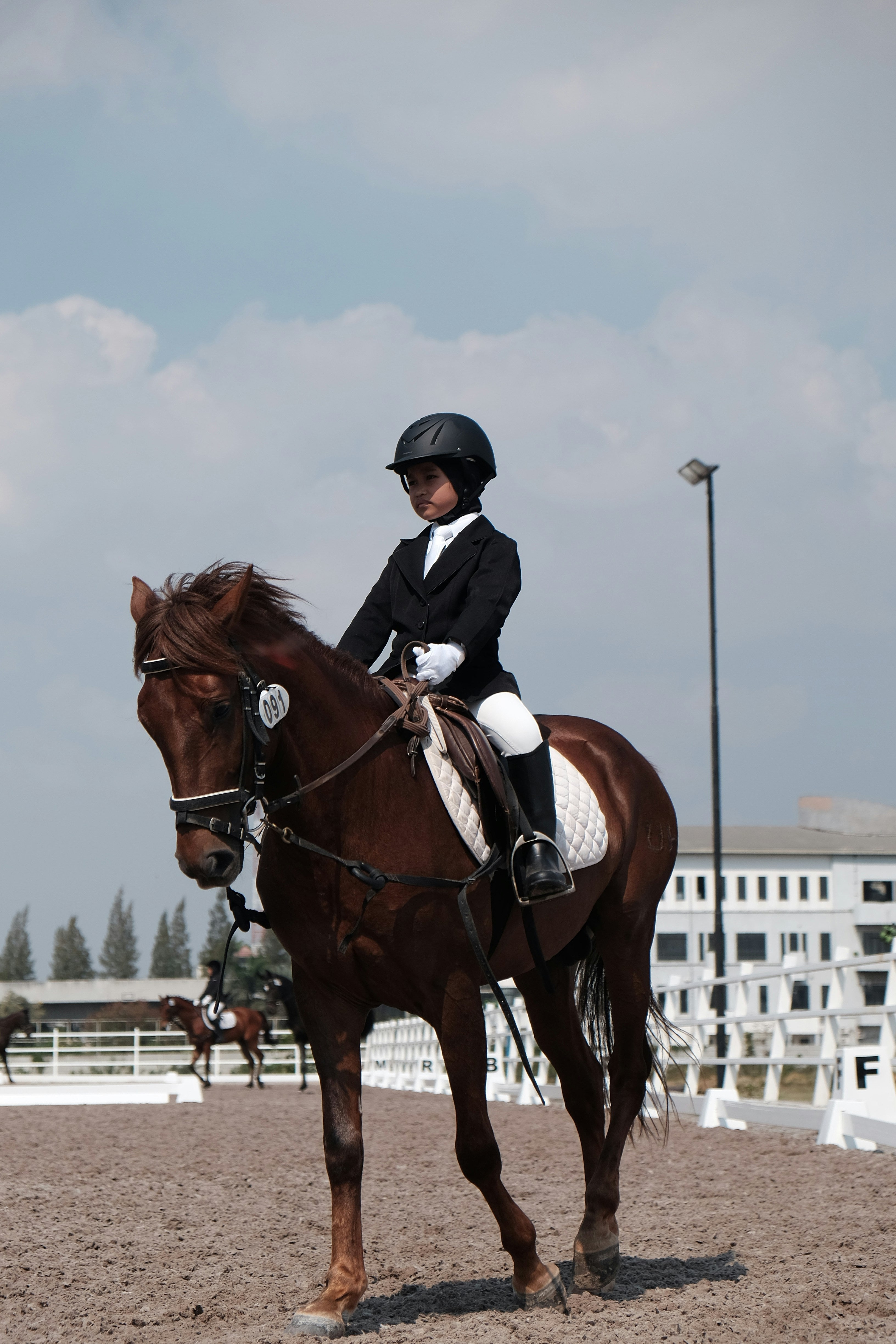 Riding Socks