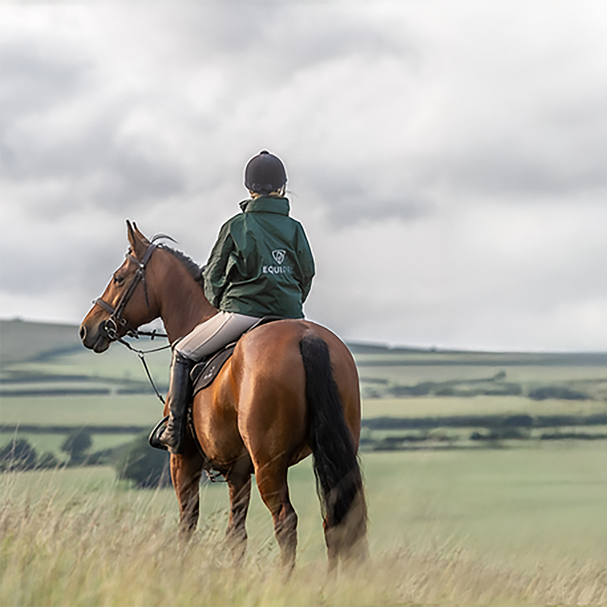 Equidry