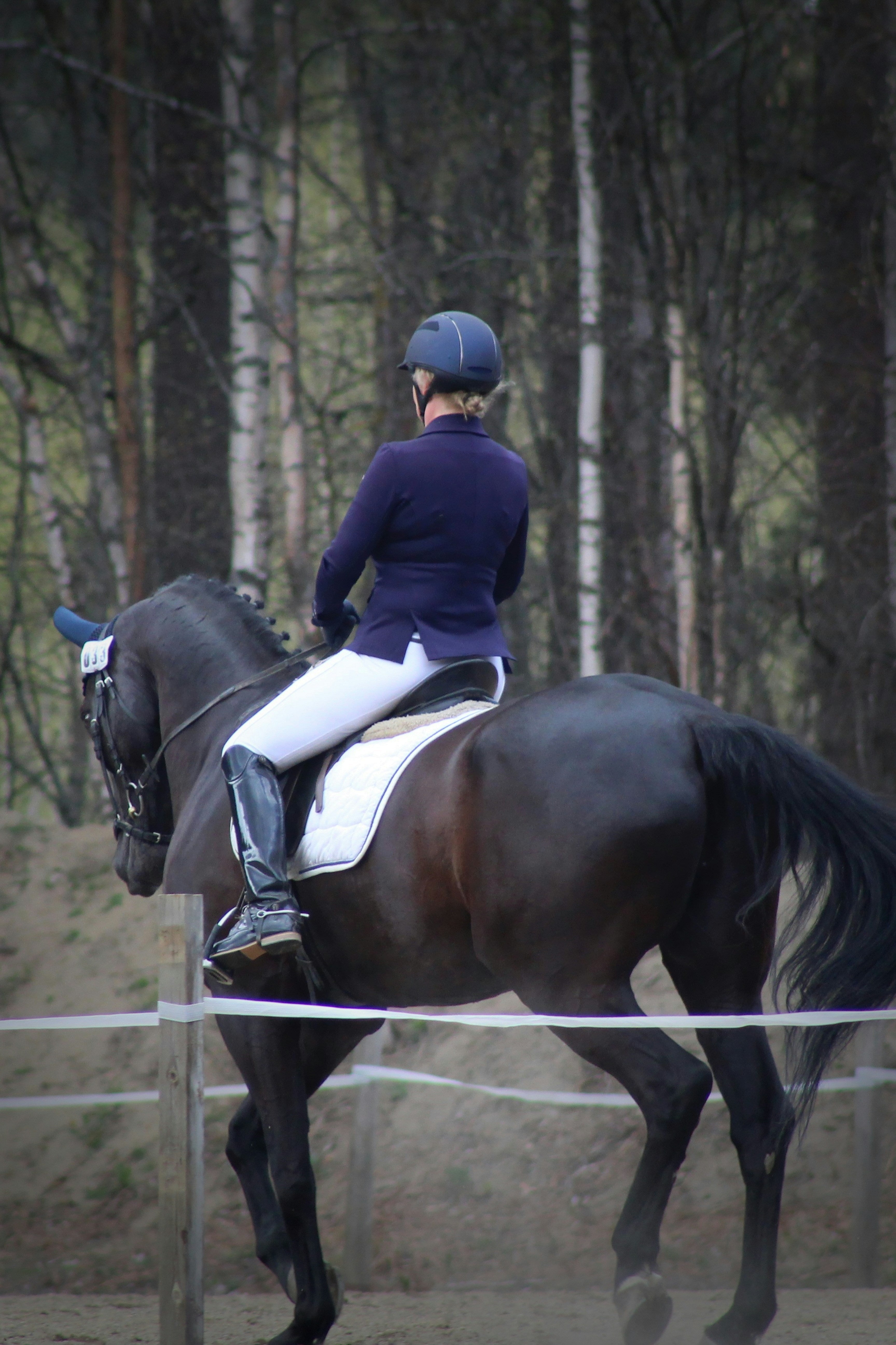 Chaps & Gaiters