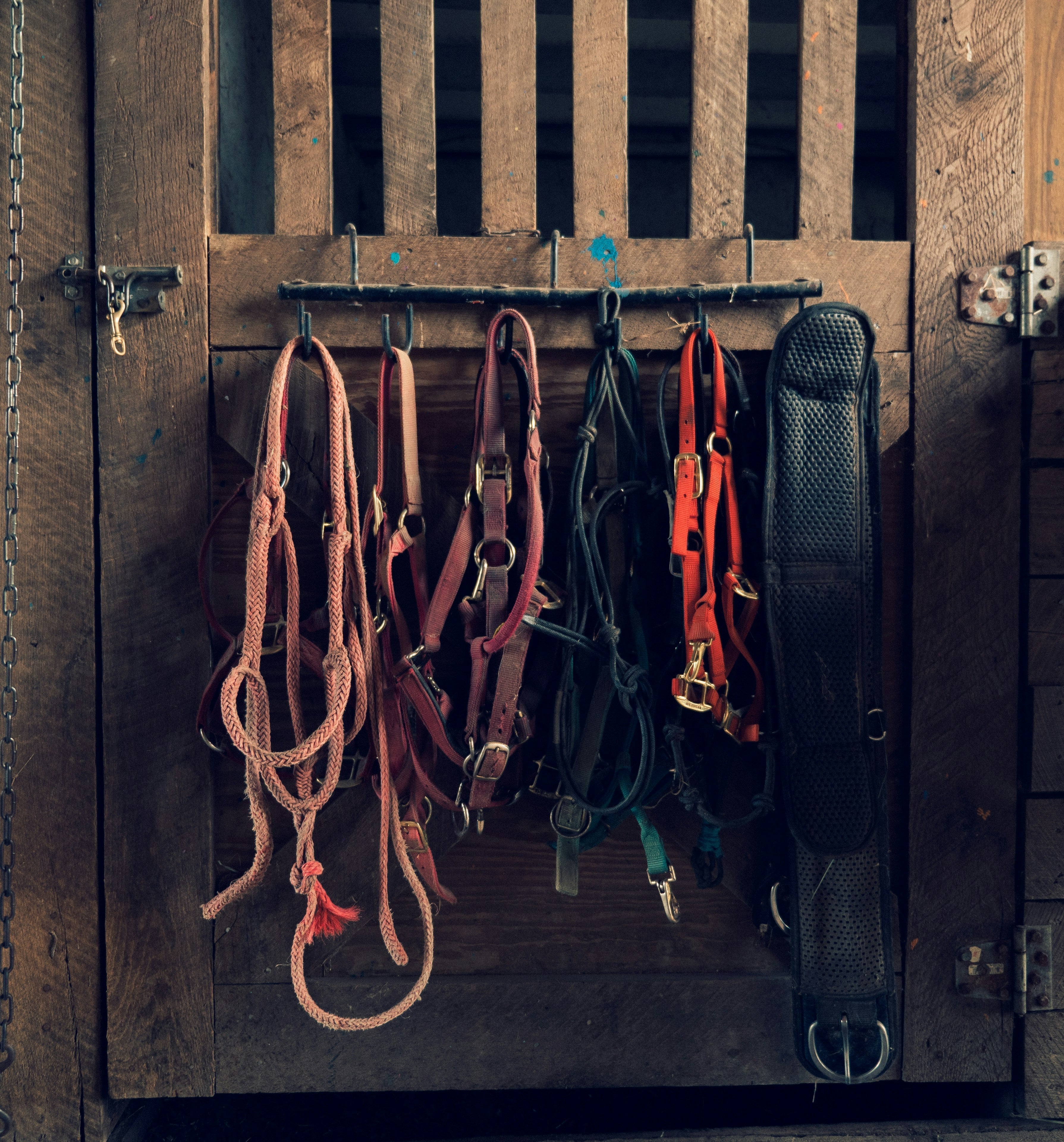 Bridles