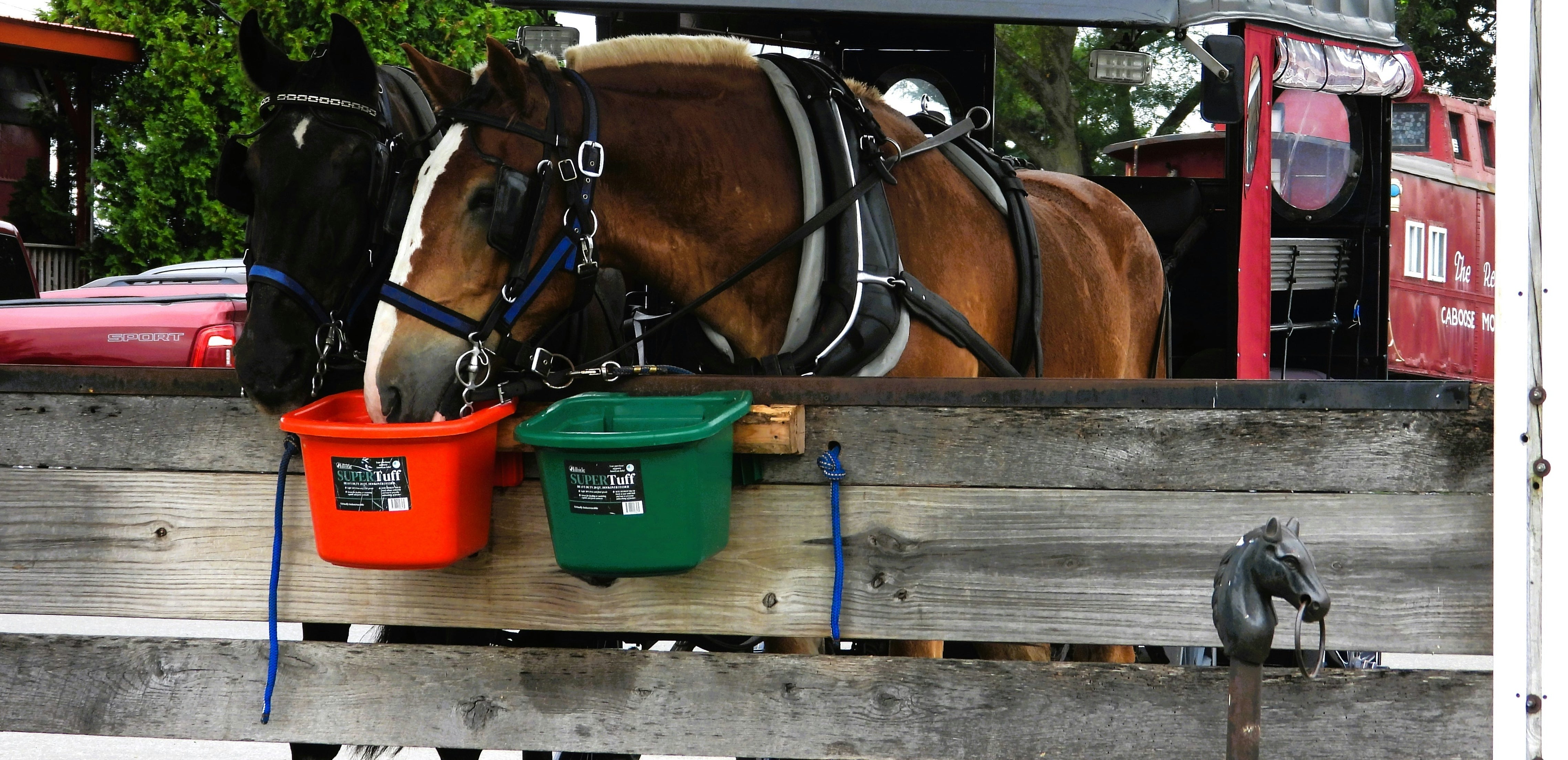 Buckets & Containers