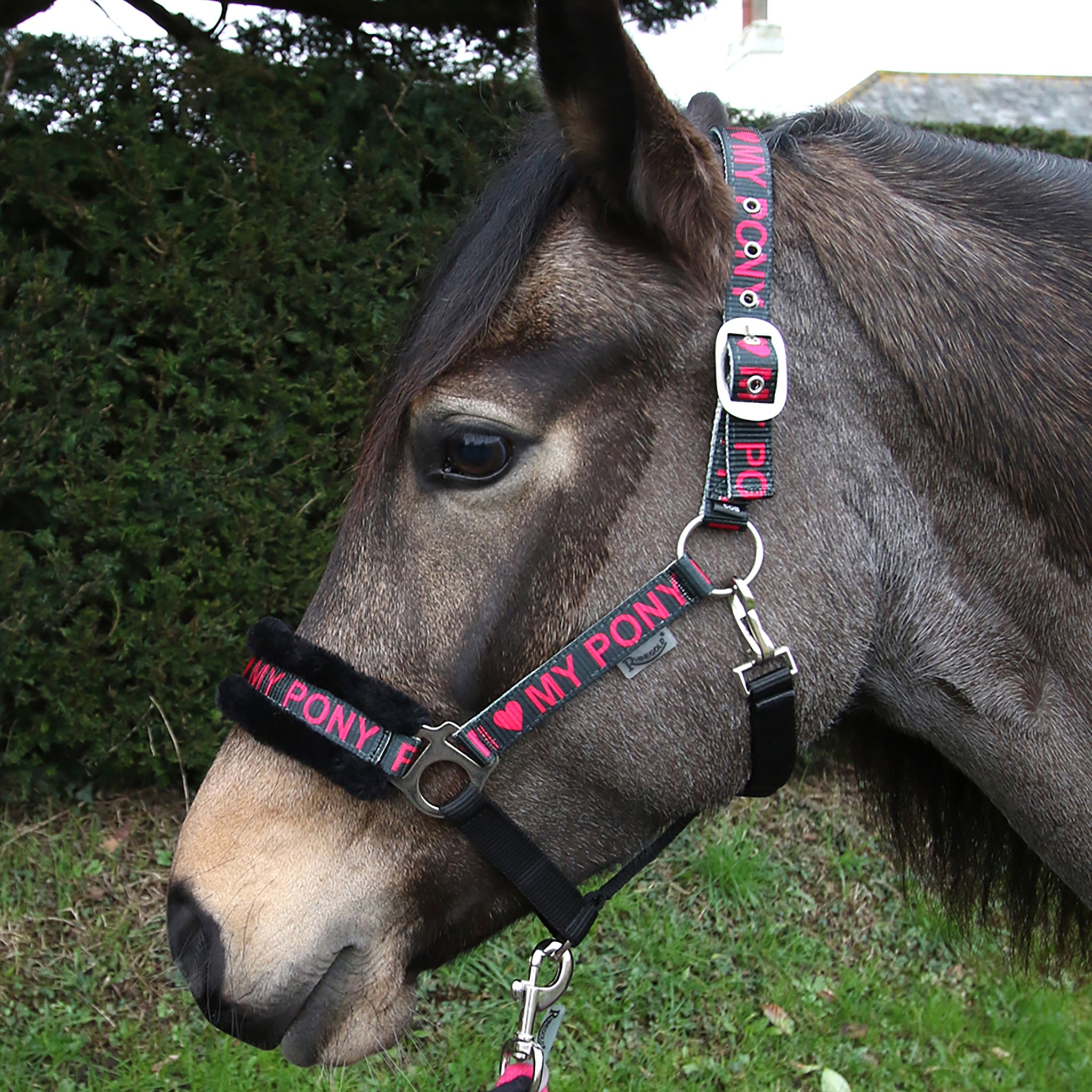 Rhinegold Love My Pony Headcollar & Lead Rope Set