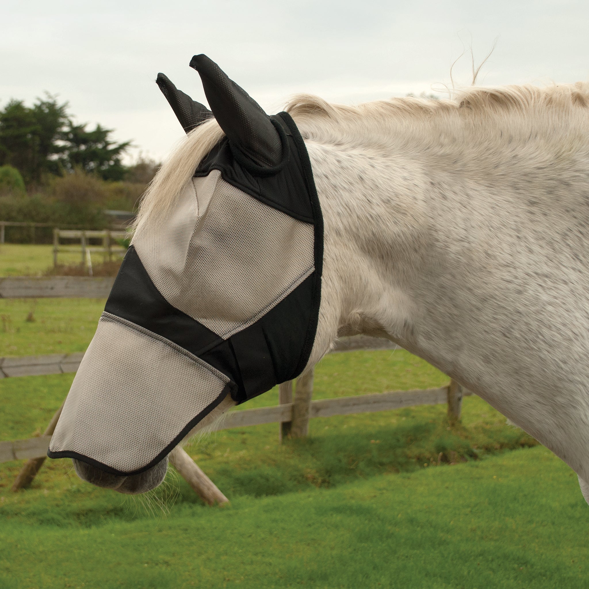 Rhinegold Fly Mask With Ear And Nose Coverage-1