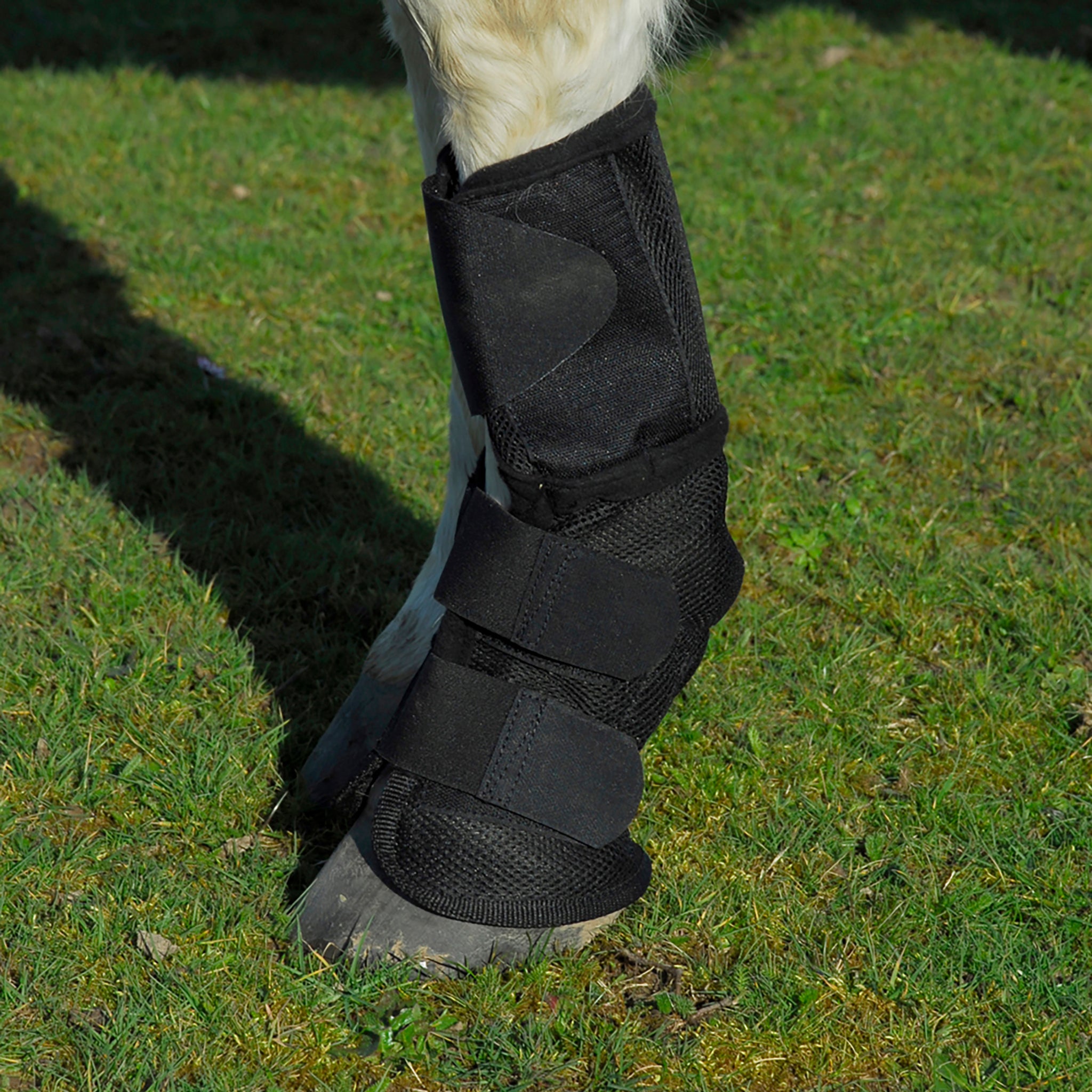 Rhinegold Fly Boot- Fly Free Summer Mesh Boot-1