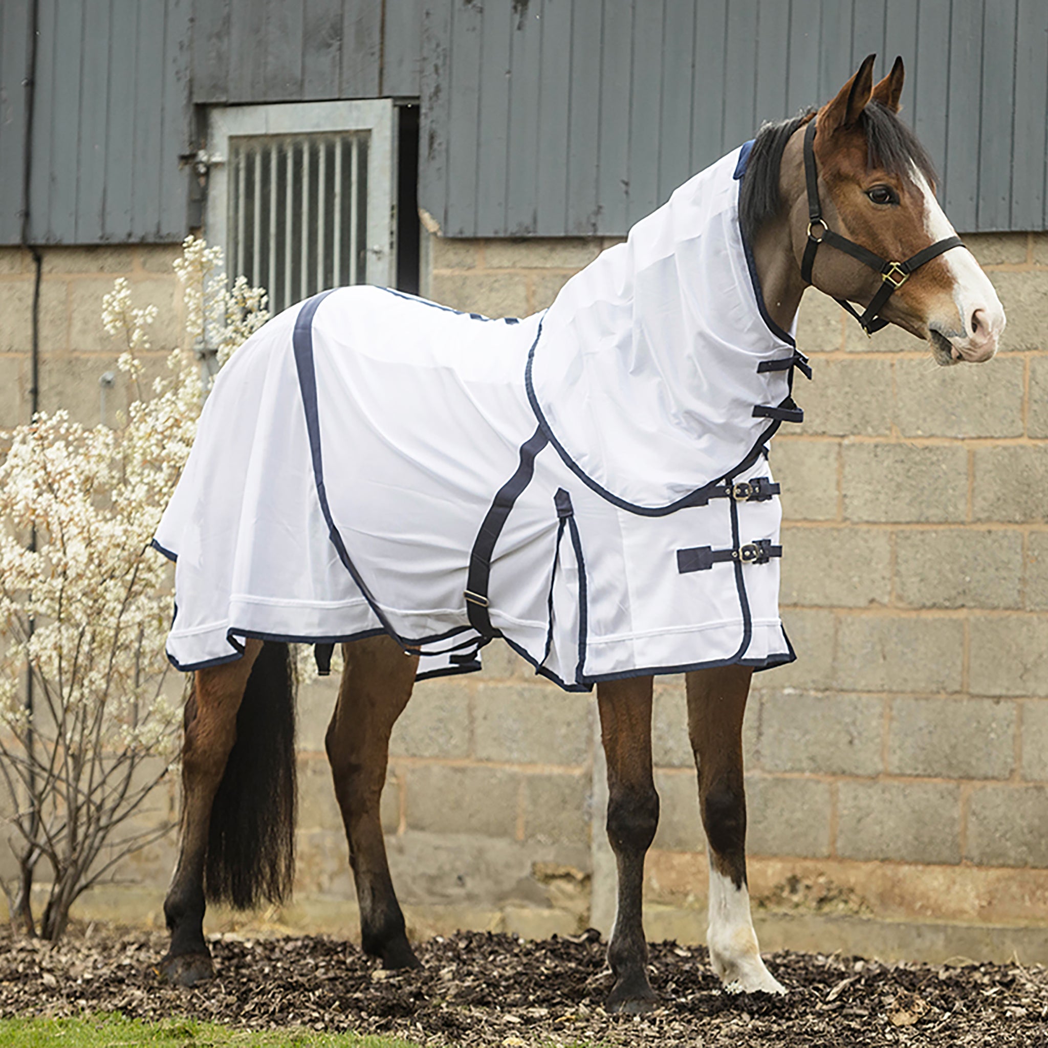 Rhinegold Essentials Fly Rug Supplied With Neck Cover-1
