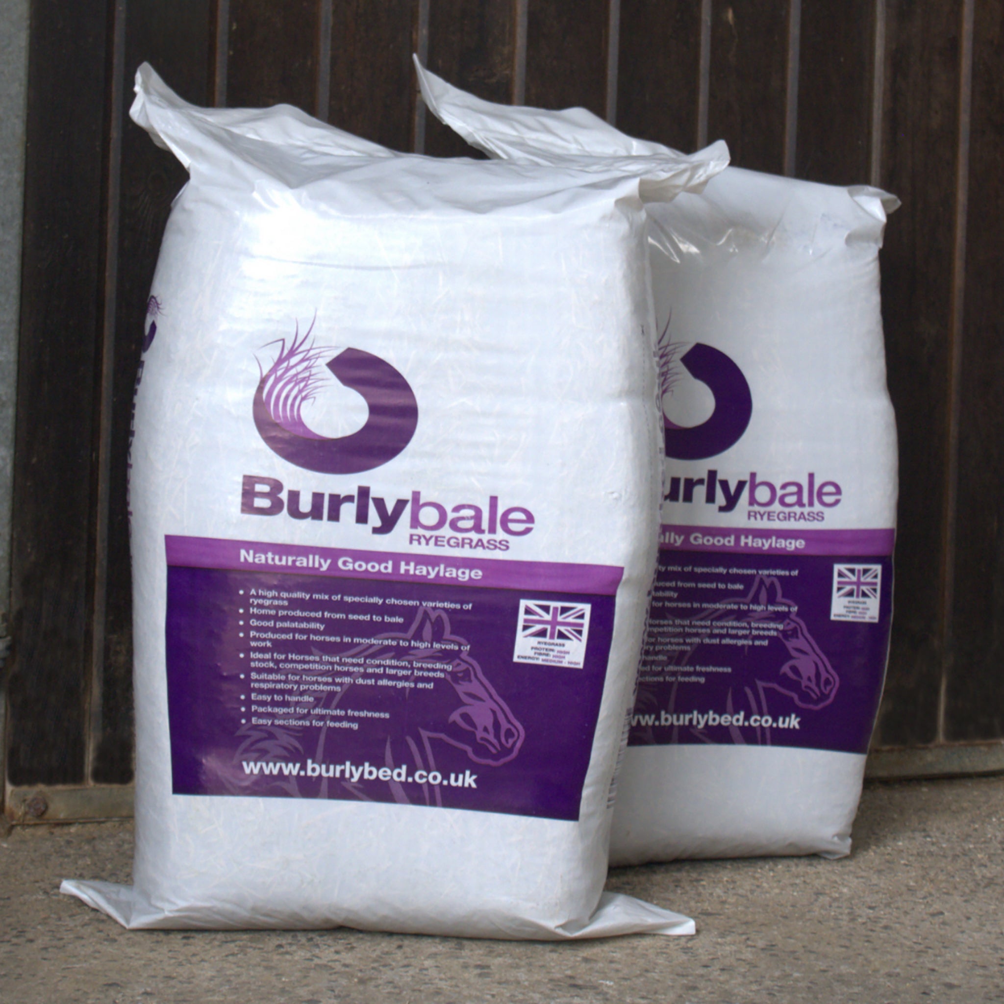 Burlybale rye grass