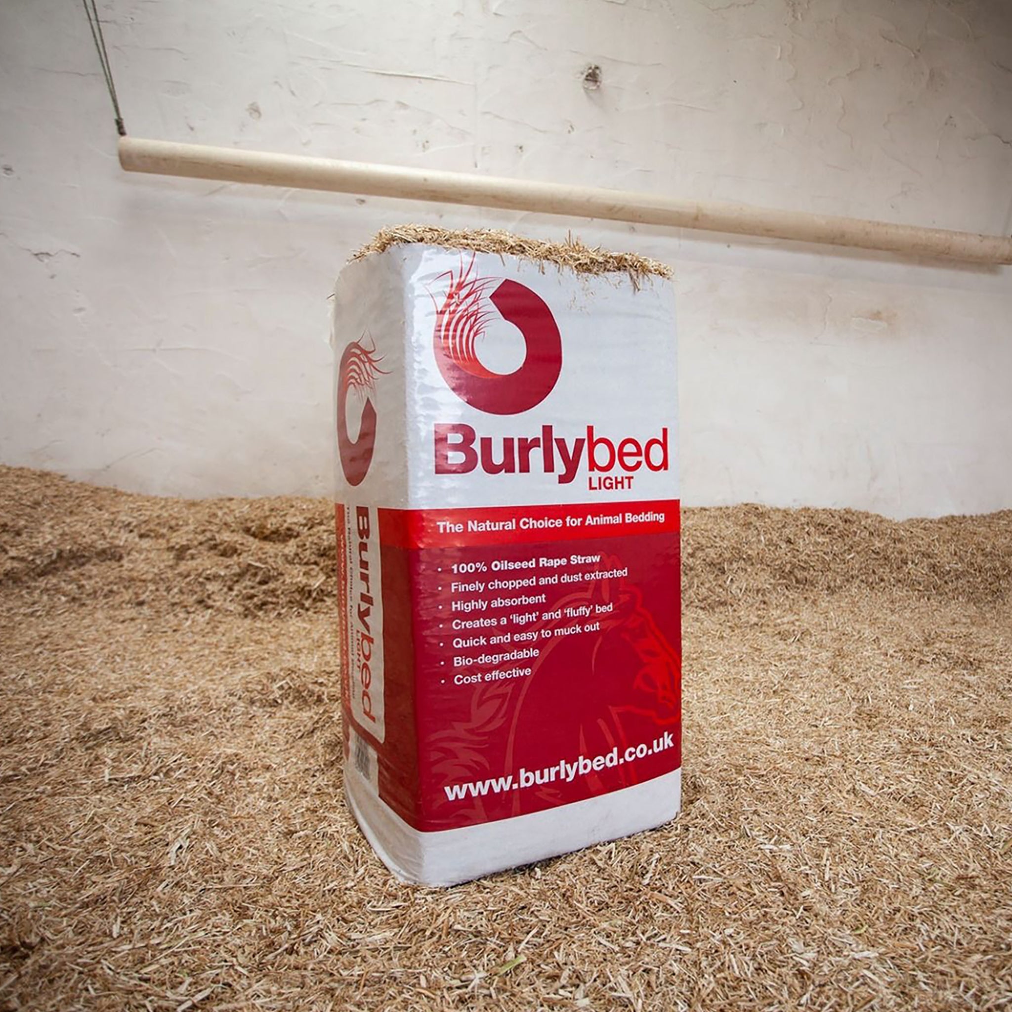Burlybed light